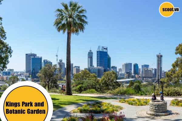 Công viên Kings Park and Botanic Garden