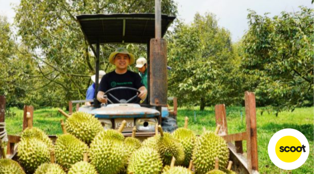 Thuong-thuc-trai-cay-mien-nhiet-doi 