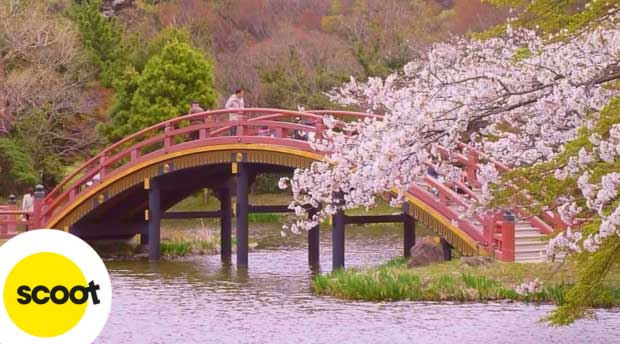 Công viên Mitsuike - Yokohama