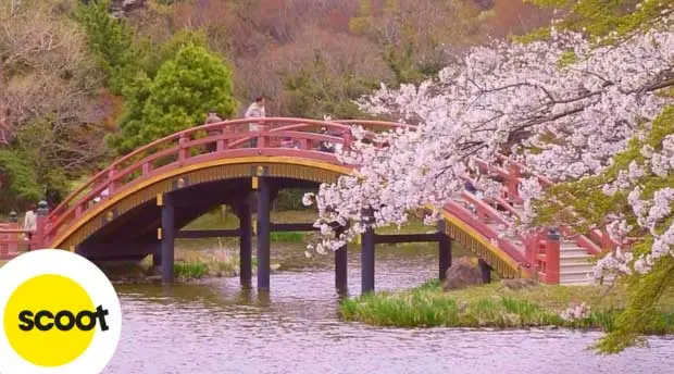 Công viên Mitsuike - Yokohama
