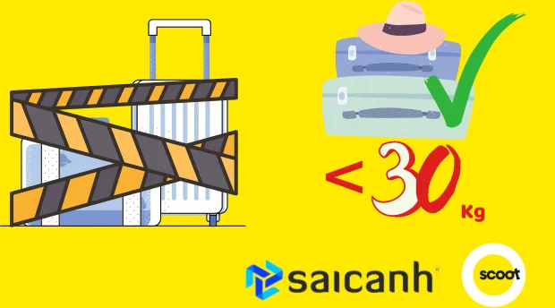 Những trường hợp cần phải mua thêm hành lý Scoot Air truong-hop-can-phai-mua-them-hanh-ly-Scoot-Air