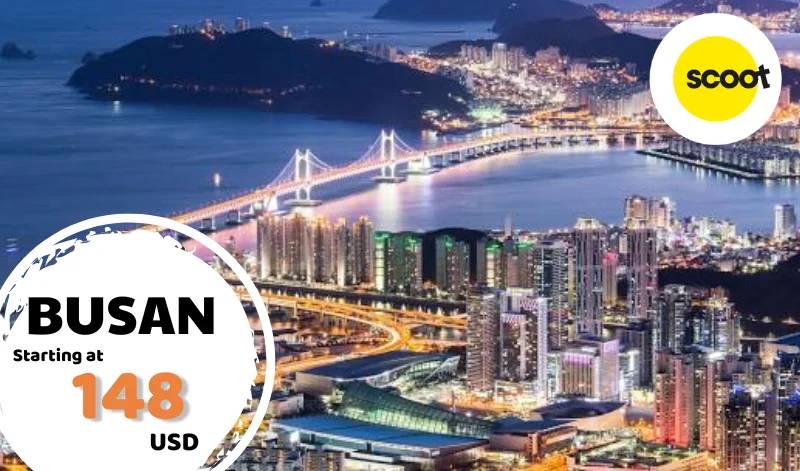 ve-may-bay-di-busan