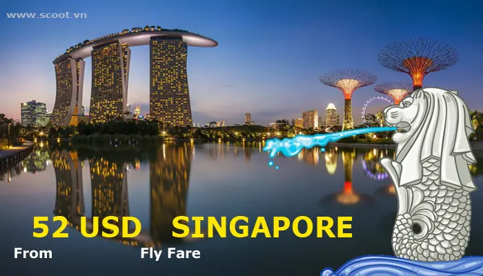 ve-may-bay-di-singapore-gia-re2