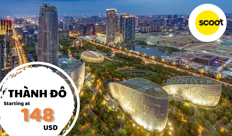 ve-may-bay-di-thanh-do-gia-re