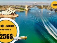 Vé máy bay Hà Nội Sydney hãng Scoot